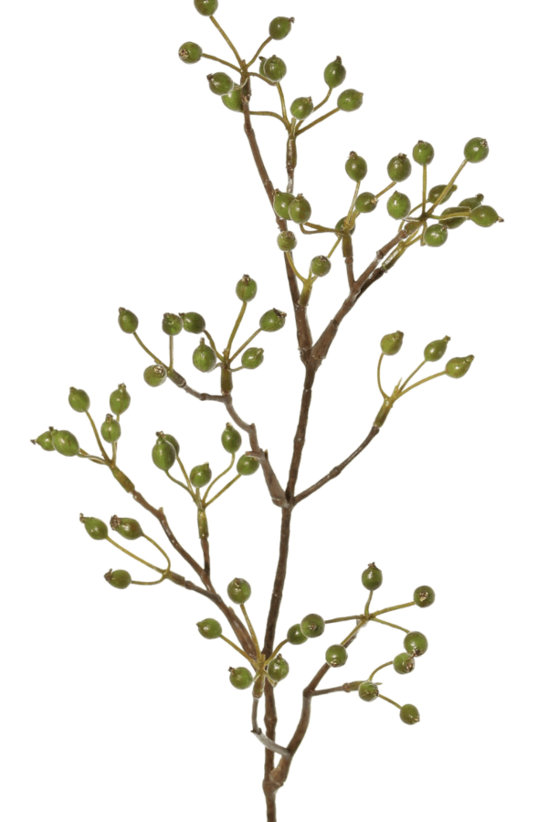 Rozenbotteltak mini groen 62 cm