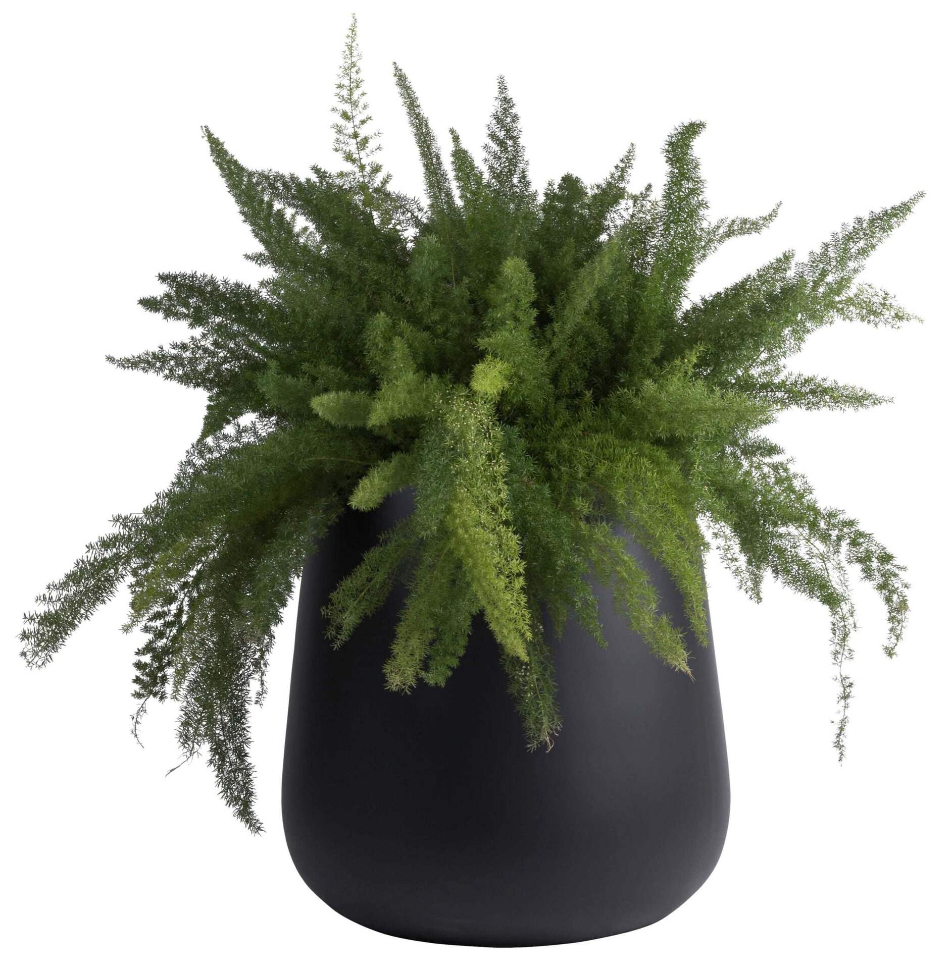 Bloempot Venna mat zwart hoogte 46 cm VTW