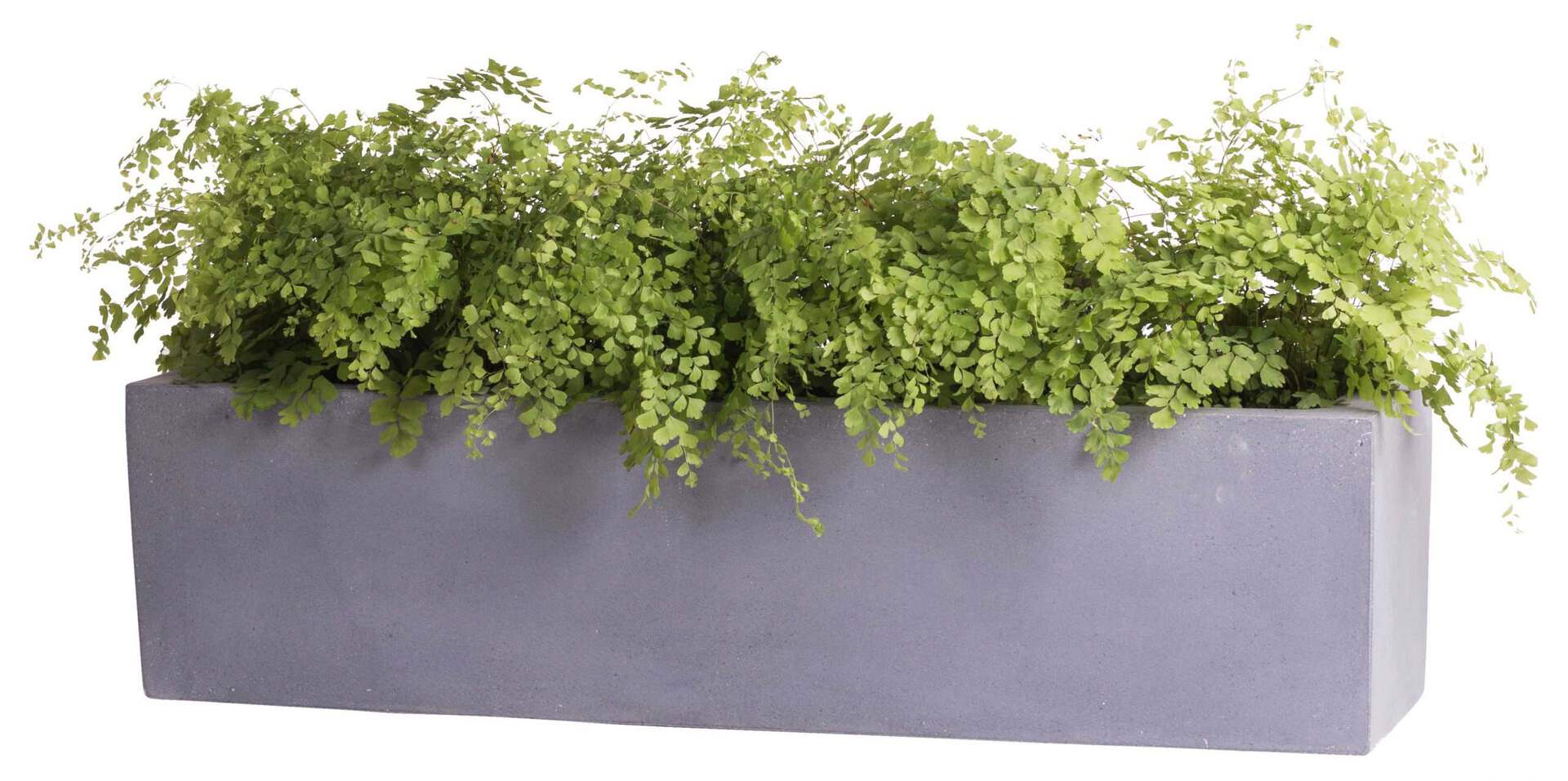 Plantenbak Victoria grijs breedte 80 cm VTW set van 2 stuks