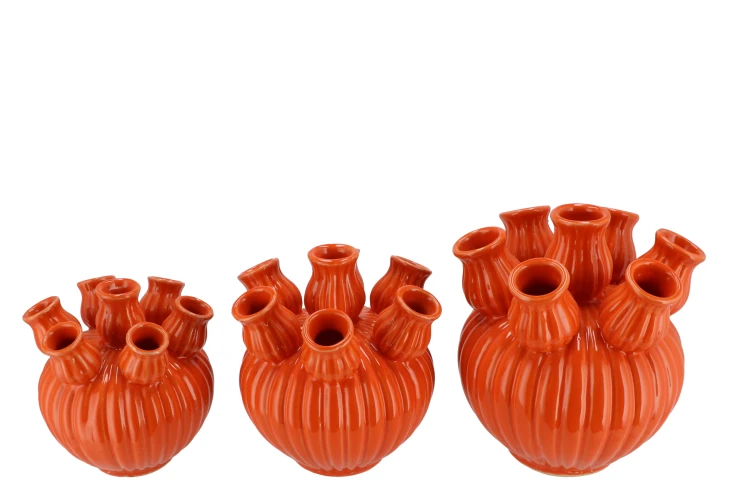 Amsterdam tulip oranje- H20 cm - Afbeelding 2