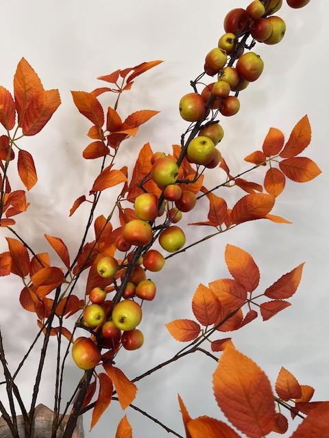 Appeltak rood groen groot 135 cm - Afbeelding 3