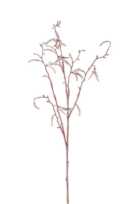 Berkenkatjes tak 66 cm