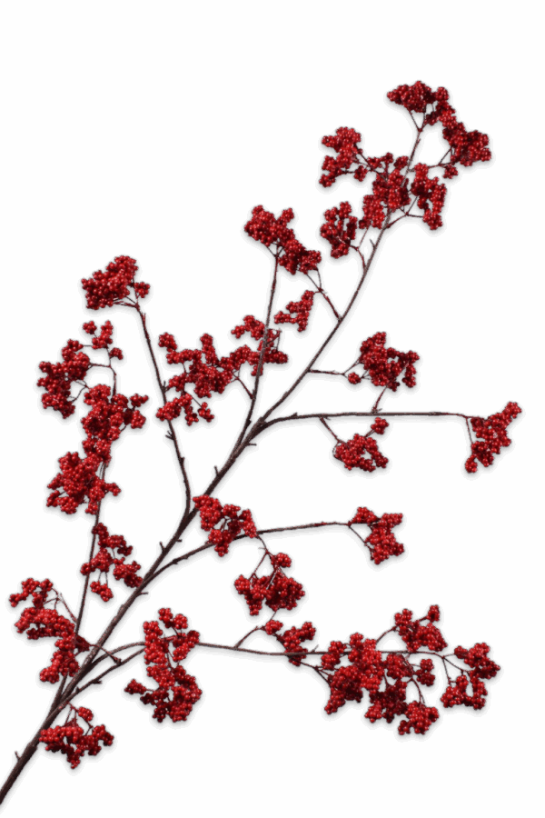 Bessentak rood Silk-ka