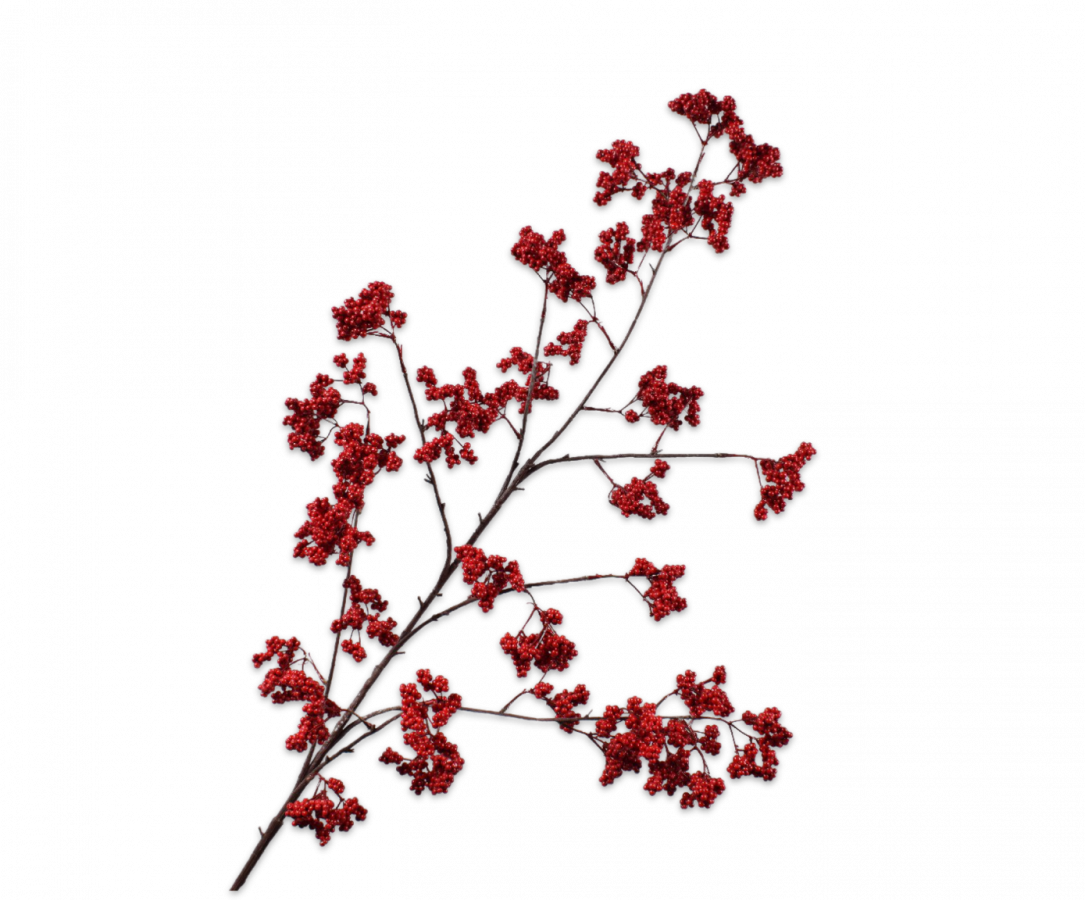 Bessentak rood Silk-ka