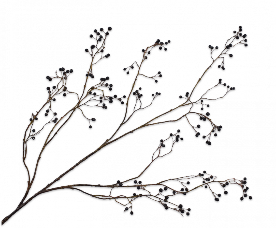 Bessentak zwart bruin donker rood 133 cm Silk-ka