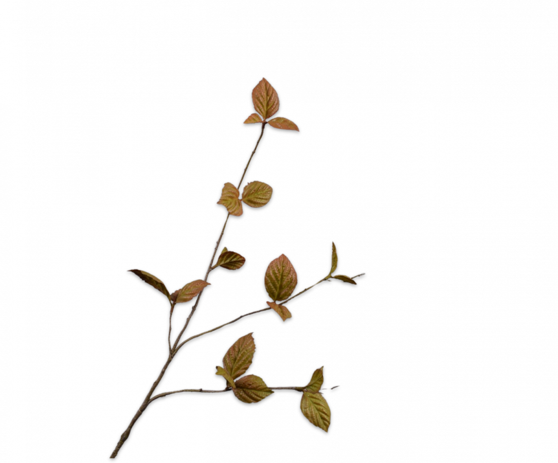 Bladtak bruin groen 85 cm Silk-ka