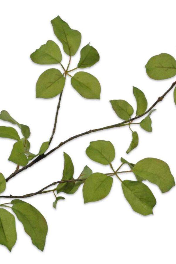 Bladtak Groen 91 cm Silk-ka