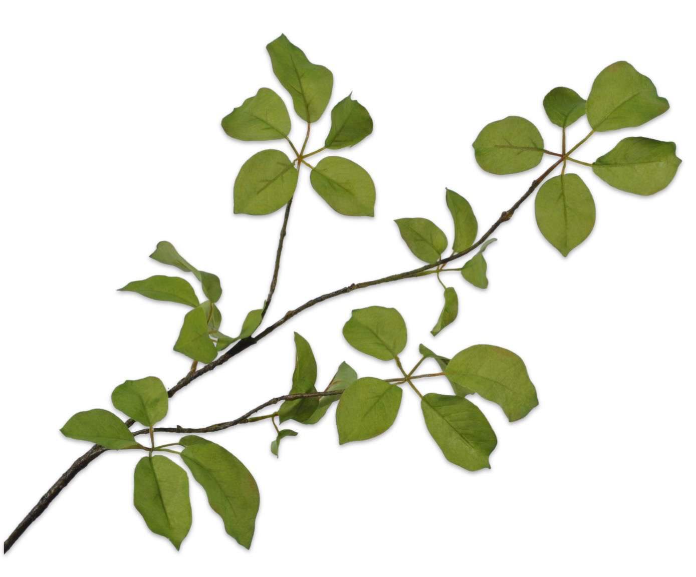 Bladtak Groen 91 cm Silk-ka