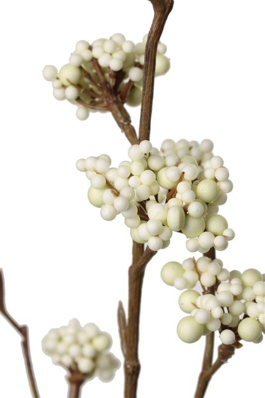 Callicarpa tak wit/creme 53 cm - Afbeelding 2