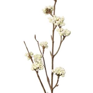Callicarpa tak wit/creme 53 cm