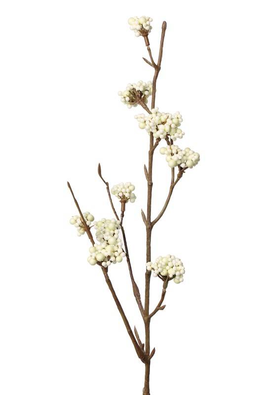 Callicarpa tak wit/creme 53 cm