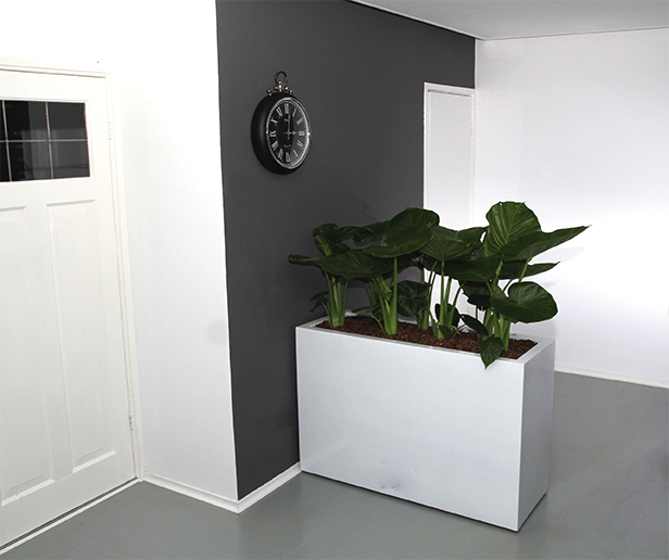 Plantenbak / roomdivider Chika op wielen hoogglans wit breedte 100 cm VTW - Afbeelding 2