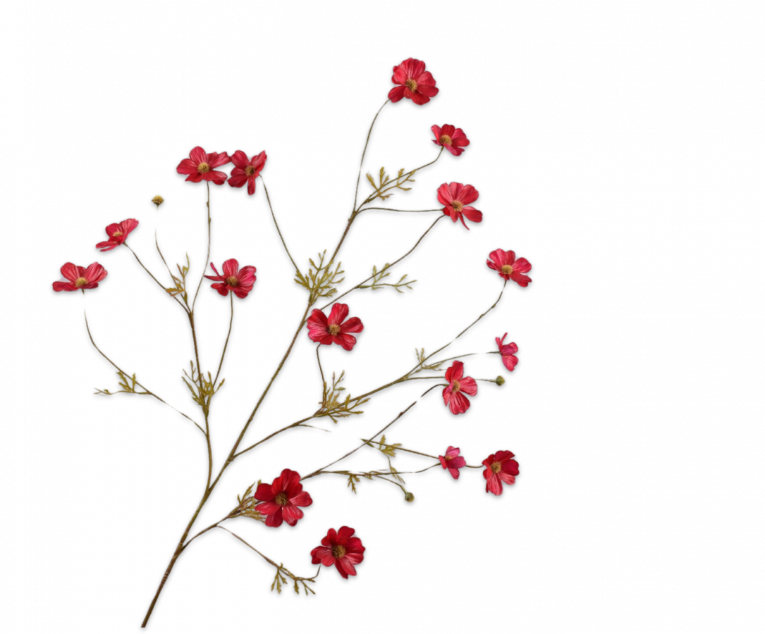 Cosmos tak donkerrood 104 cm Silk-ka