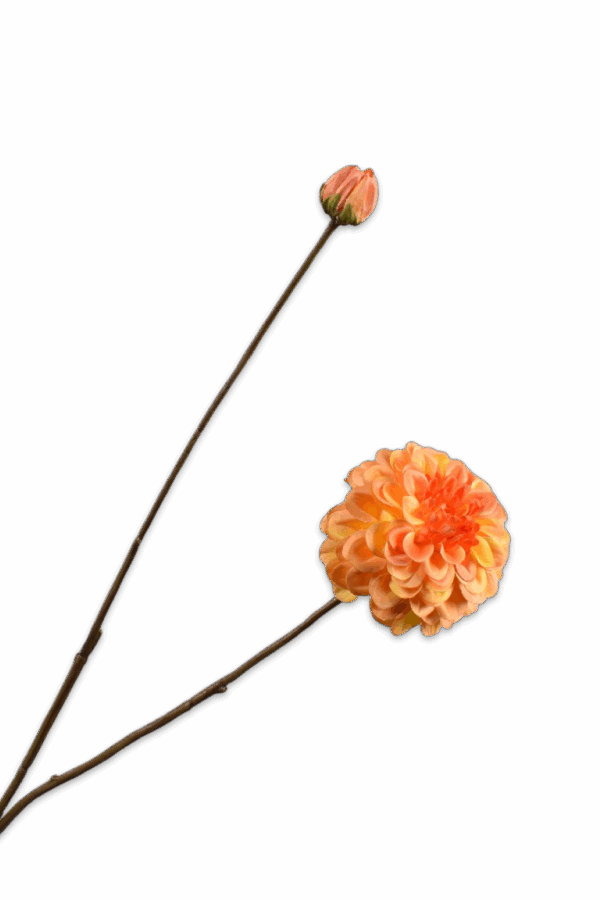 dahlia tak oranje geel 86 cm Silk-ka