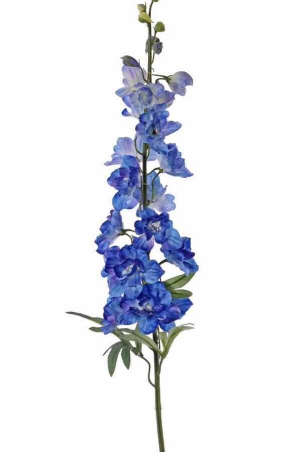 Delphinium ridderspoor blauw 91 cm