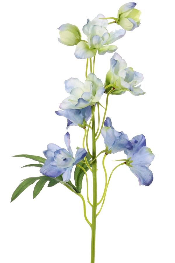 Delphinium ridderspoor 50 cm