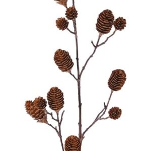 Denneappeltak groot 98 cm