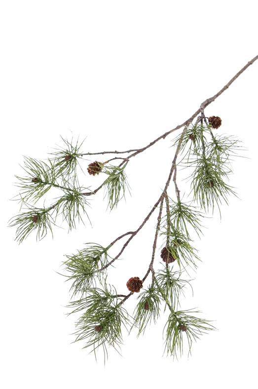 Dennetak pinus den 110 cm