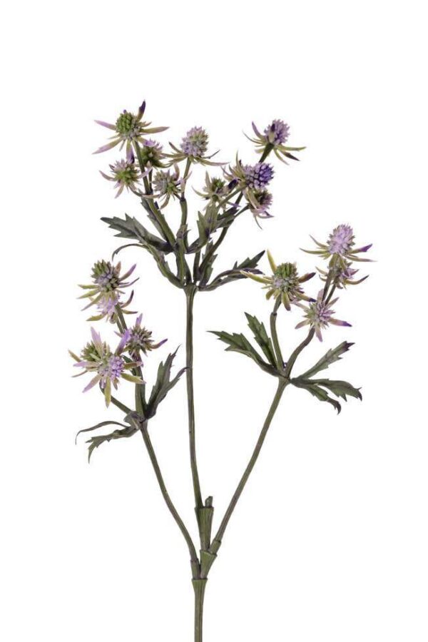 Disteltak blauw 65 cm