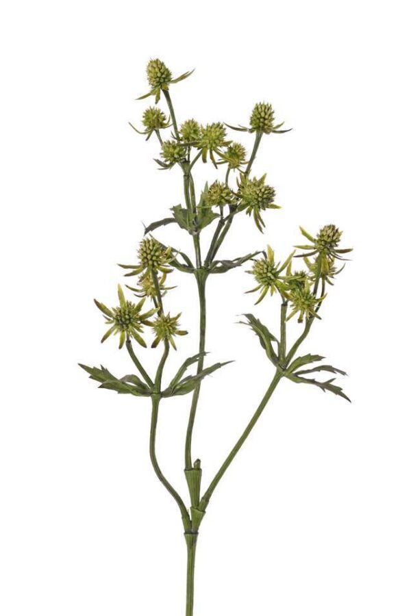 Disteltak groen 65 cm