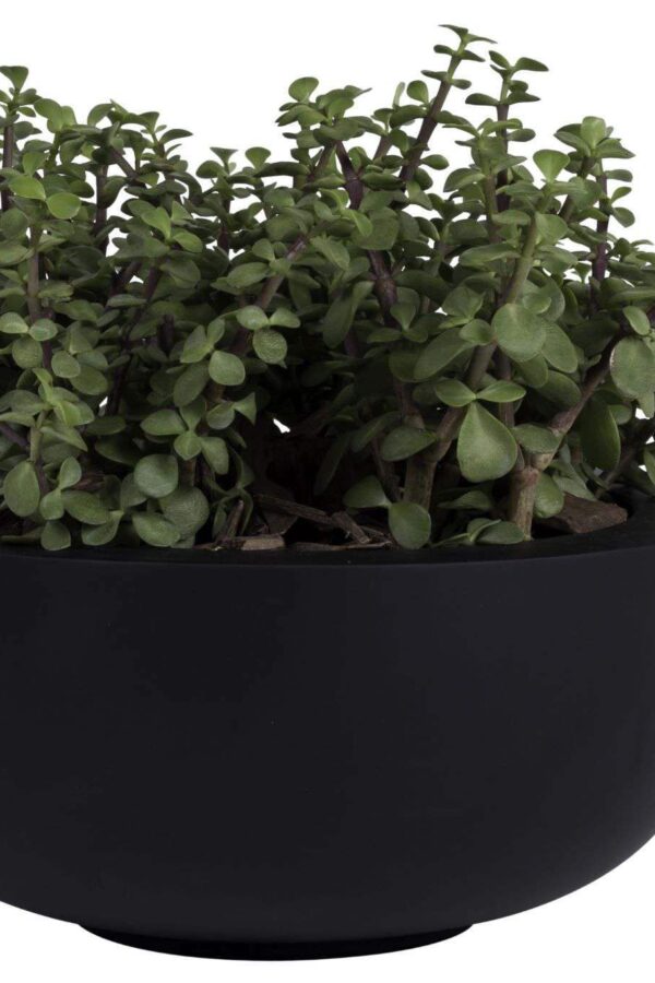 Bloempot / schaal Duko mat zwart set van 2 stuks vtw