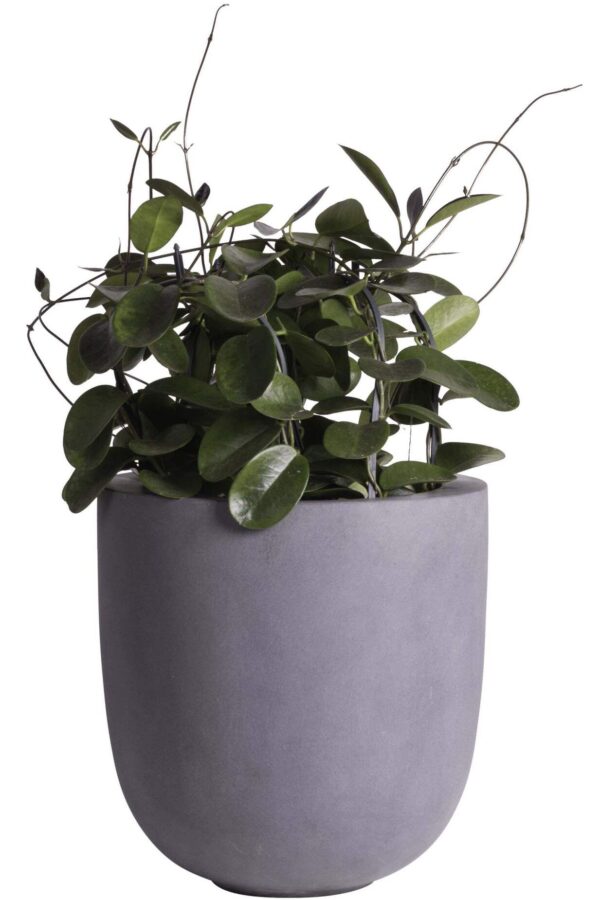 Bloempot Duko beton mat grijs VTW