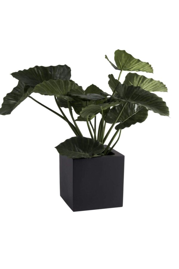 Plantenbak vierkant Elsa zwart 40 cm VTW