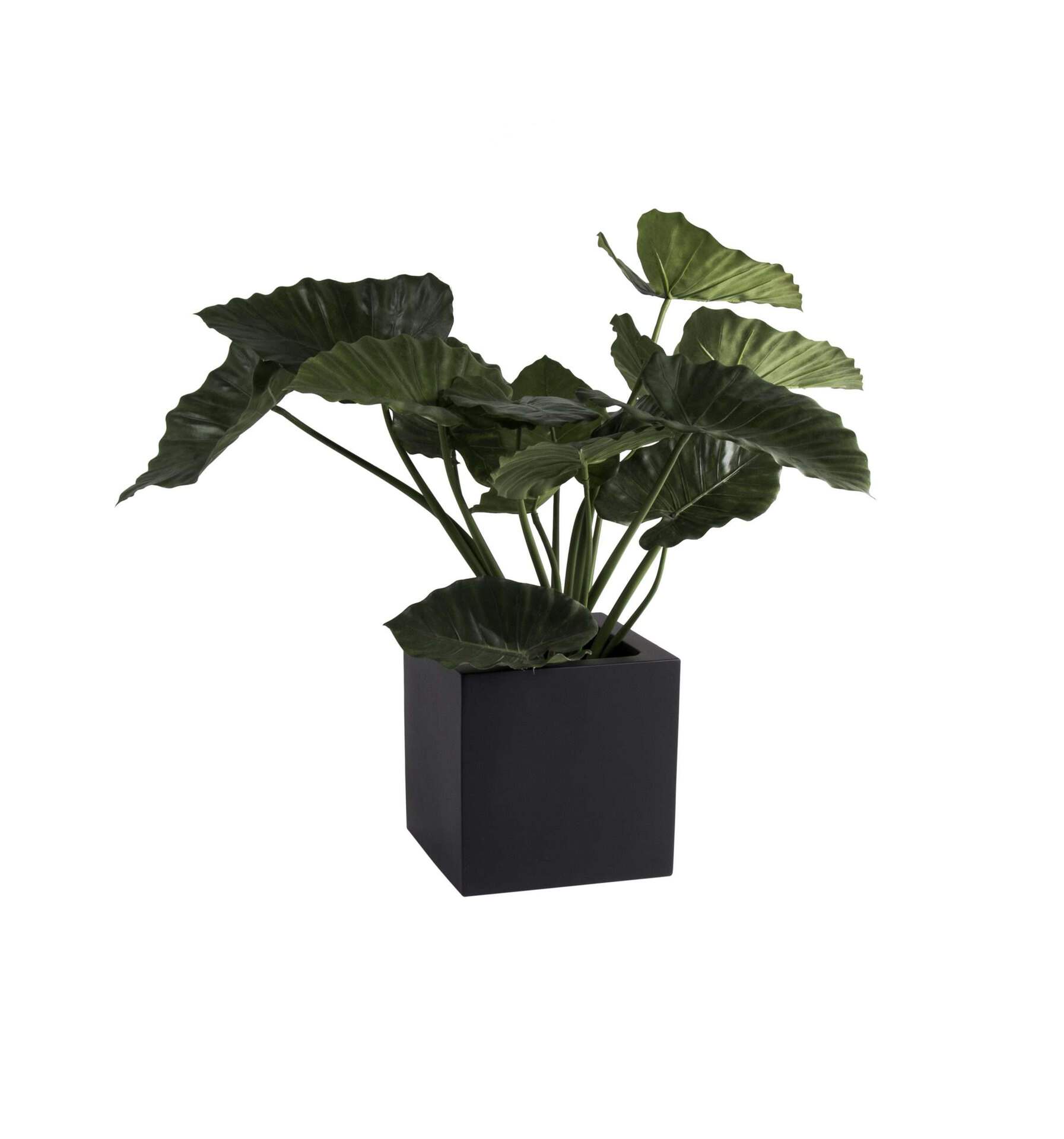 Plantenbak vierkant Elsa zwart 40 cm VTW