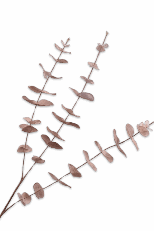 Eucalyptus tak zacht roze 99 cm Silk-ka