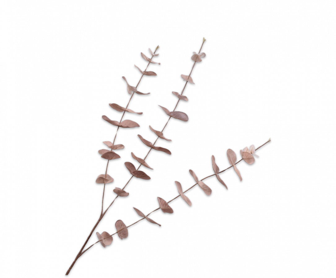 Eucalyptus tak zacht roze 99 cm Silk-ka