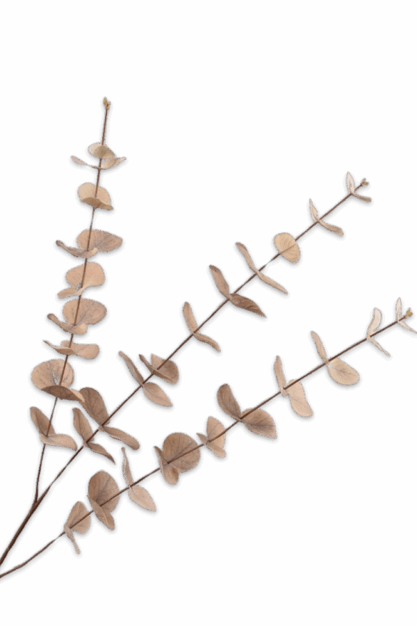 Eucalyptus tak beige 99 cm Silk-ka