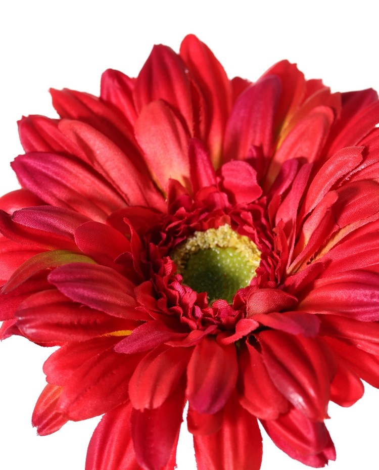 Gerbera rood 63 cm - Afbeelding 2