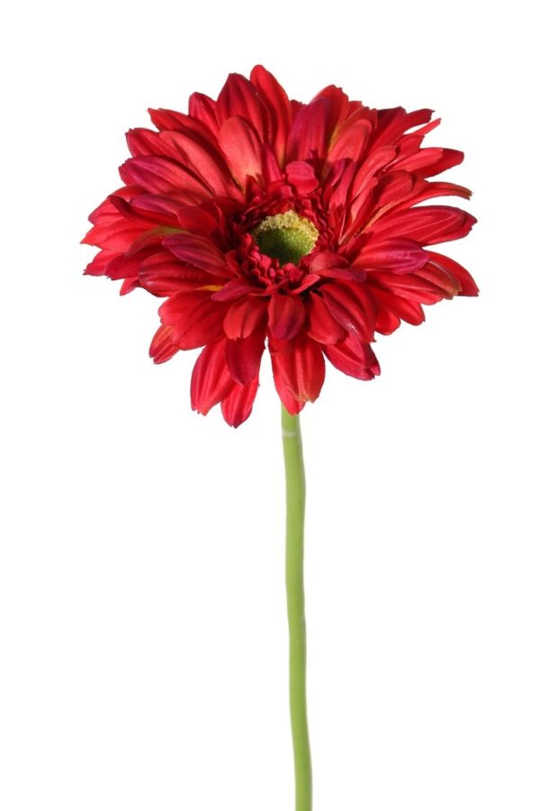 Gerbera rood 63 cm