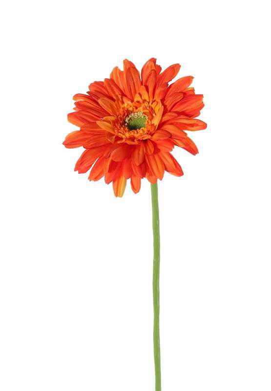 Gerbera oranje 63 cm