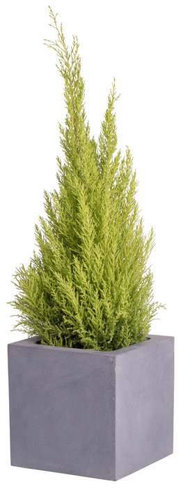 Plantenbak vierkant Elsa grijs 30 cm VTW