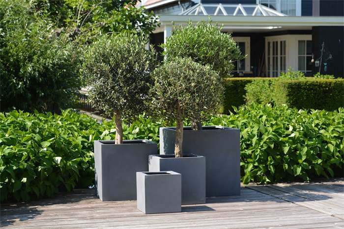 Plantenbak vierkant Elsa zwart 50 cm VTW - Afbeelding 5