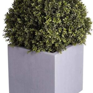 Plantenbak vierkant Elsa grijs 40 cm VTW