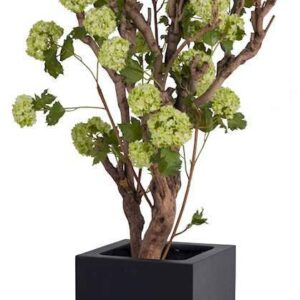 Plantenbak vierkant Elsa zwart 50 cm VTW