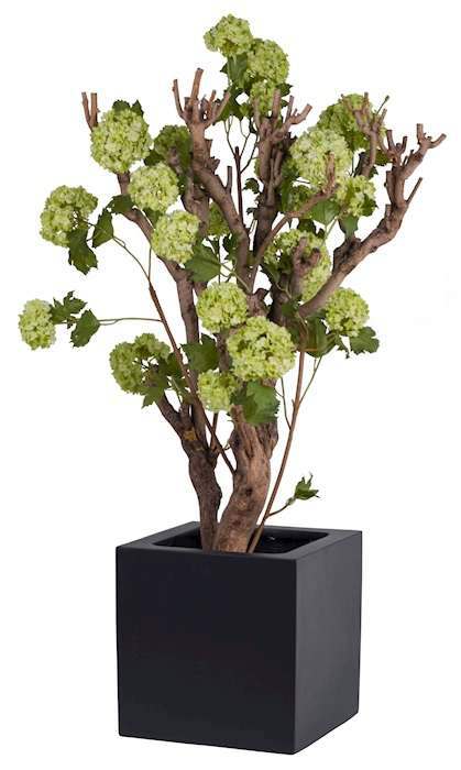 Plantenbak vierkant Elsa zwart 50 cm VTW