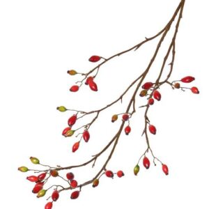 Rozenbottel fijn rood