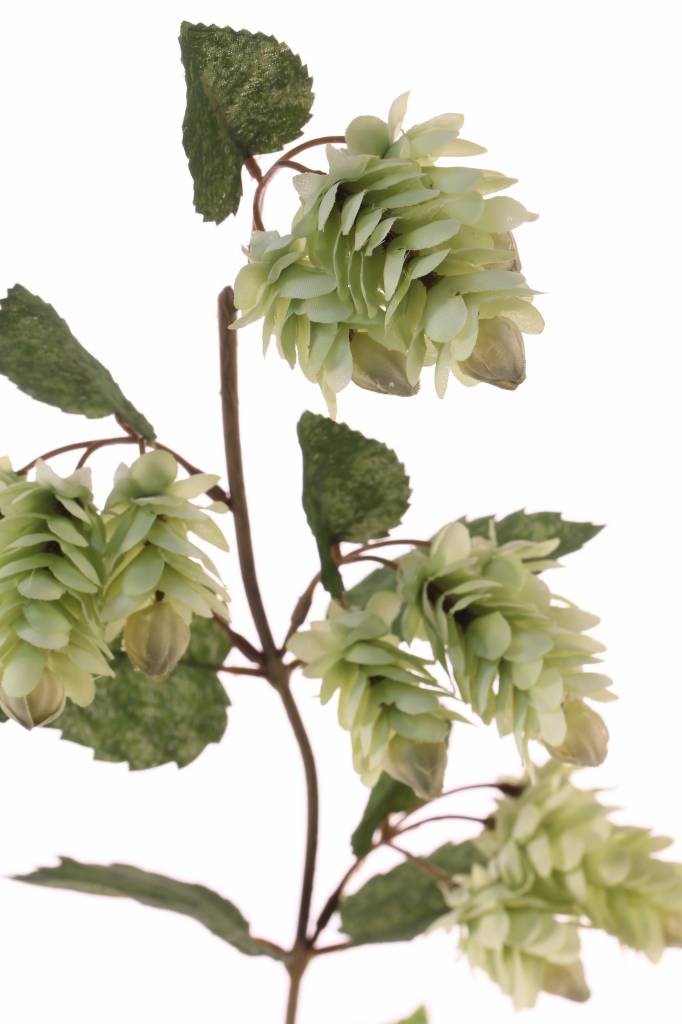 Hoptak de luxe 68 cm - Afbeelding 2