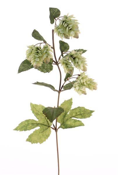 Hoptak de luxe 68 cm