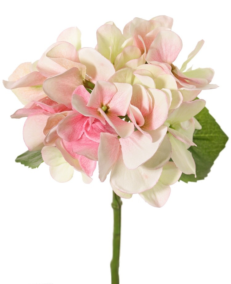 Hortensia roze 33 cm