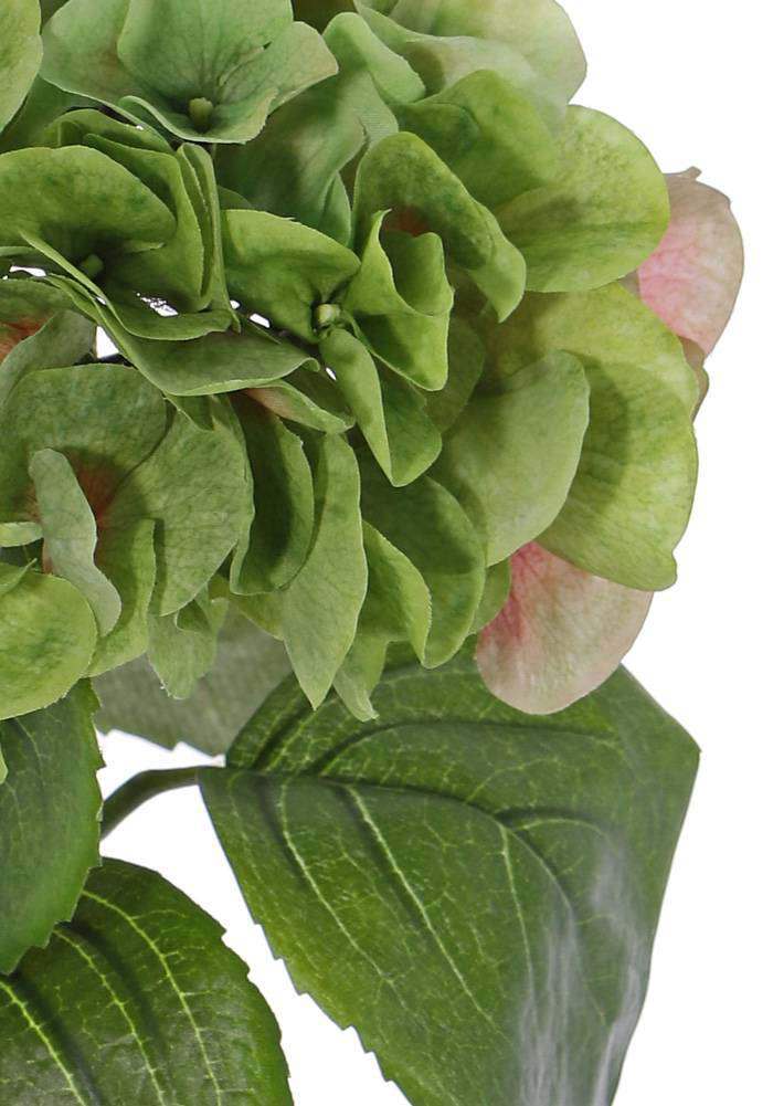 Hortensia groen 60 cm - Afbeelding 2