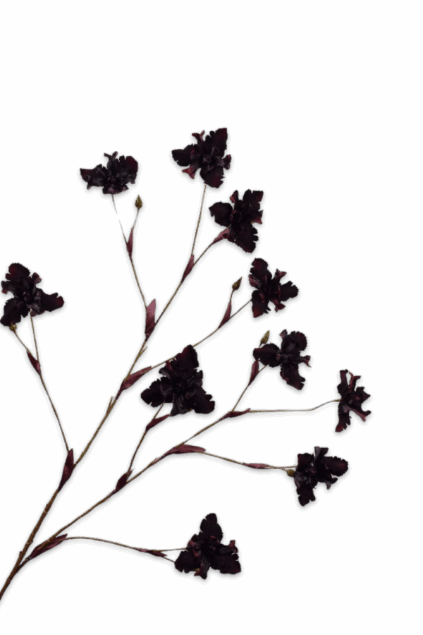 Iris tak bordeaux 125 cm Silk-ka