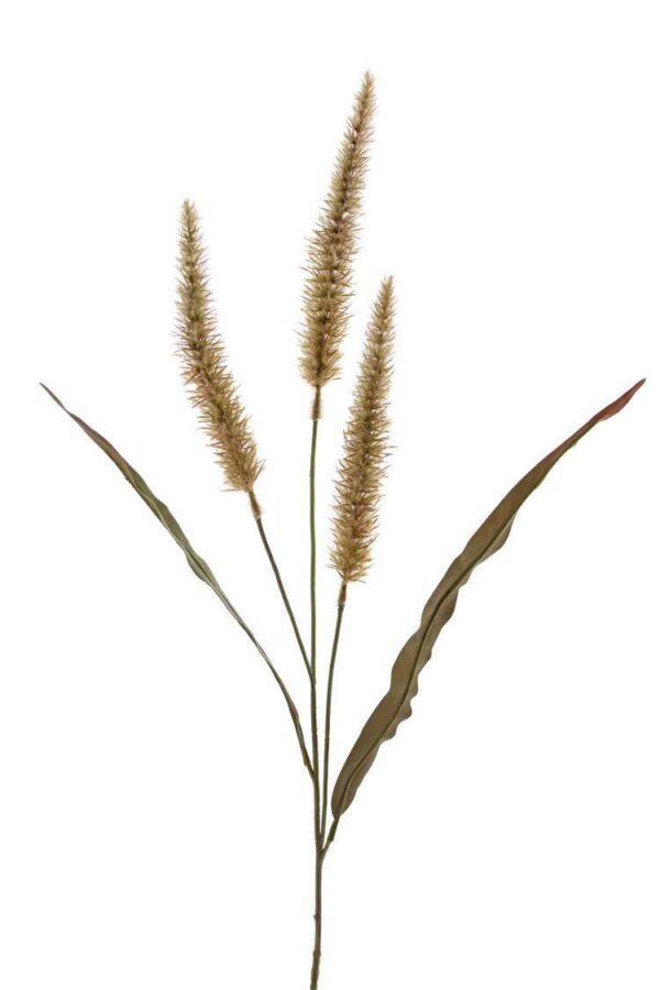 Lampepoetser pennisetum bruin 3 pluimen