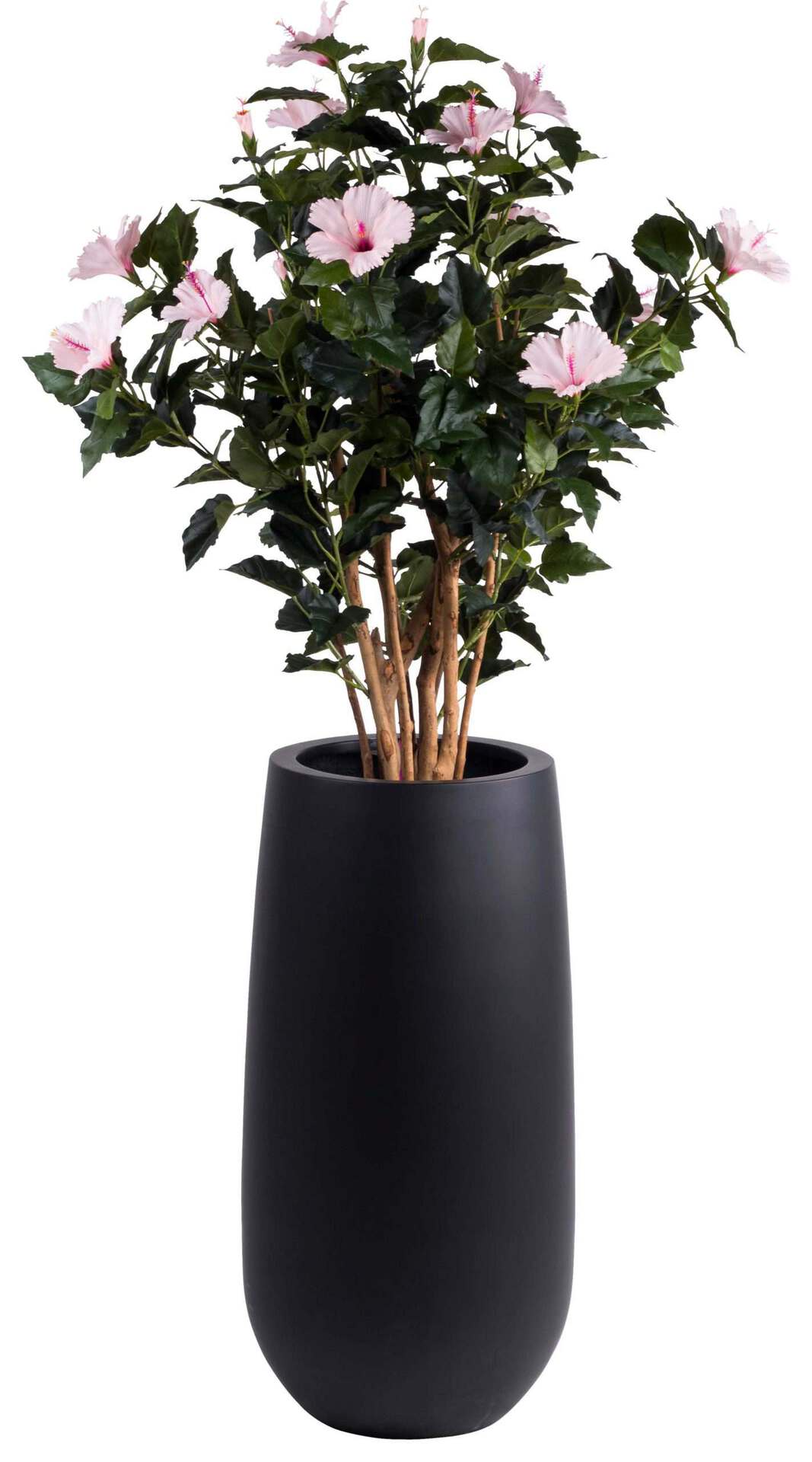 Bloempot / vaas Living zwart hoogte 70 cm VTW