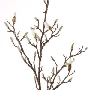 Magnolia tak met open knoppen 104 cm