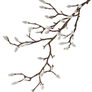 Magnolia tak fijn 73 cm