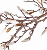 Magnolia tak met open knoppen 104 cm - Afbeelding 2